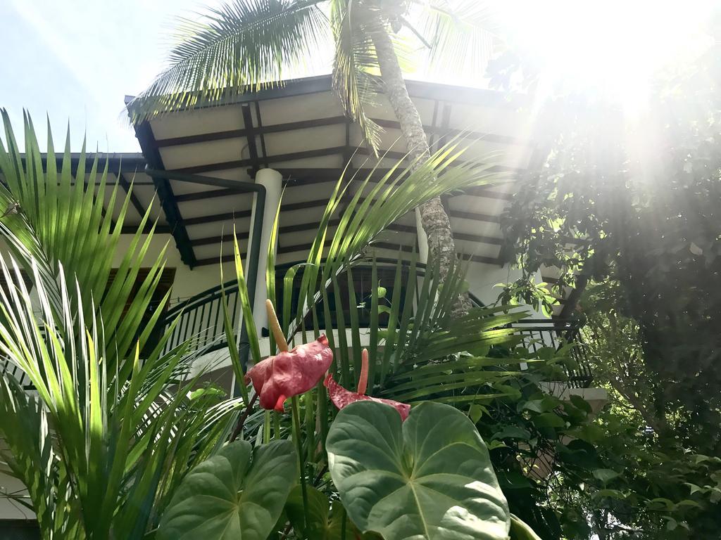Mount Nature Villa Хикадува Стая снимка